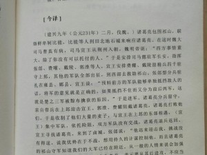 《少年国志：诸葛亮双红将阵容预测与全面技能分析》