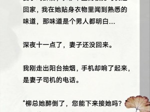 老赵儿媳李芳芳小说全集：家庭伦理的情感纠葛