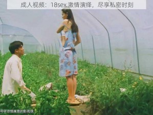 成人视频：18sex 激情演绎，尽享私密时刻