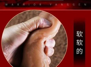 线上男男情趣用品，满足你的私密需求