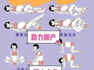 wheeltpe 孕妇轮，科学助力孕期运动