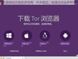 外国网站开放的浏览器，安全稳定，快速访问全球网页