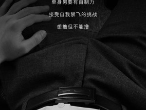 男人私 Gay 网站的 sm 为何成为网络热点：探索背后的原因