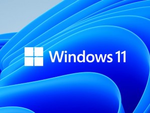 Windows11 专业版 4K 高清视频播放