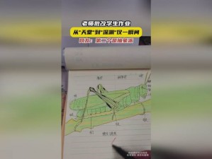 无比66m66 成长模式视频：培养孩子综合能力的有效方法