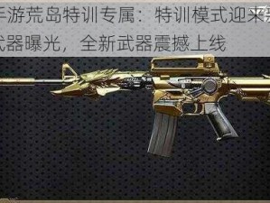 CF手游荒岛特训专属：特训模式迎来新版本武器曝光，全新武器震撼上线