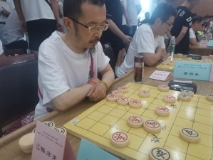 武林群侠传琴棋书画经验心得分享：深度解析琴韵棋谋与书画艺术之融合之道