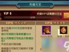 功夫少林VIP3特权详解：专属优惠与尊贵身份，VIP3价格知多少？