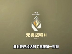 《解决Valorant及无畏契约连线错误的有效策略与指导》