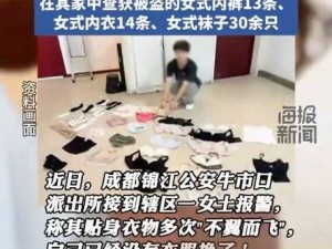 国产偷国产偷精品孕妇，一款专为孕妇设计的高品质国产产品