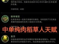 黑科技助力：稻草人英雄联盟中的黑科技辅助使用全解析