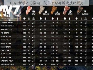 Dayz新手入门指南：简单攻略与游戏技巧概览