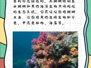 珊瑚岛秘闻：探寻第个献祭海洋生物藏匿之所