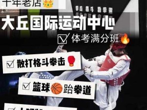 全民格斗技能碎片获取攻略与使用指南：轻松提升战斗力技巧解析