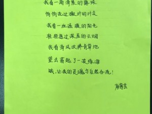 小诗成为学校教具 9 章——有助于学生更好理解的创意教学辅助工具