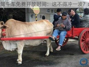 台湾驾牛车免费开放时间：这不得冲一波？😜