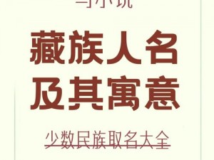 性别男代码是什么？探究男性身份的奥秘