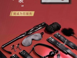 成人情趣用品，提升两性关系的秘密武器