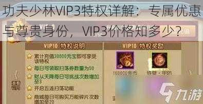 功夫少林VIP3特权详解：专属优惠与尊贵身份，VIP3价格知多少？