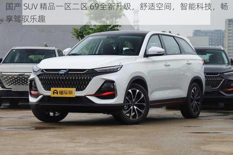 国产 SUV 精品一区二区 69全新升级，舒适空间，智能科技，畅享驾驭乐趣