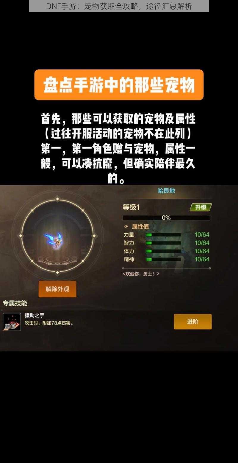 DNF手游：宠物获取全攻略，途径汇总解析