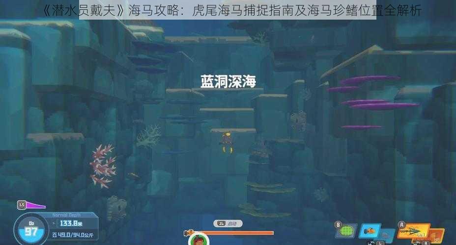 《潜水员戴夫》海马攻略：虎尾海马捕捉指南及海马珍鳍位置全解析