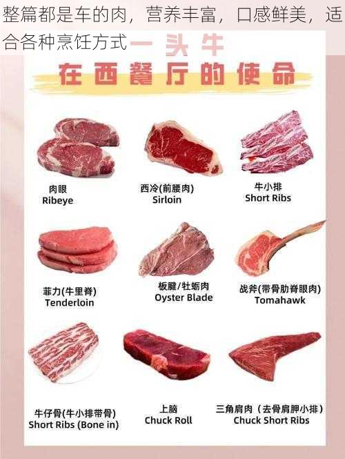 整篇都是车的肉，营养丰富，口感鲜美，适合各种烹饪方式