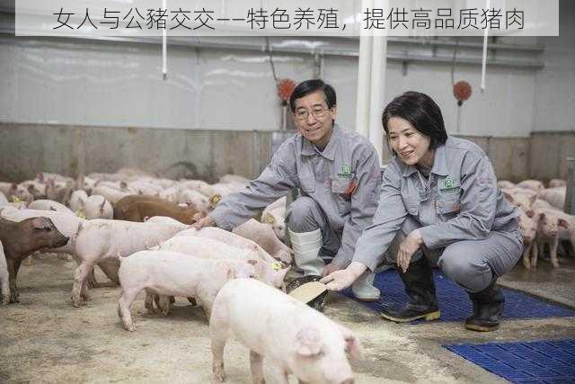 女人与公豬交交——特色养殖，提供高品质猪肉