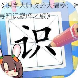 《识字大师攻略大揭秘：追寻知识巅峰之旅》