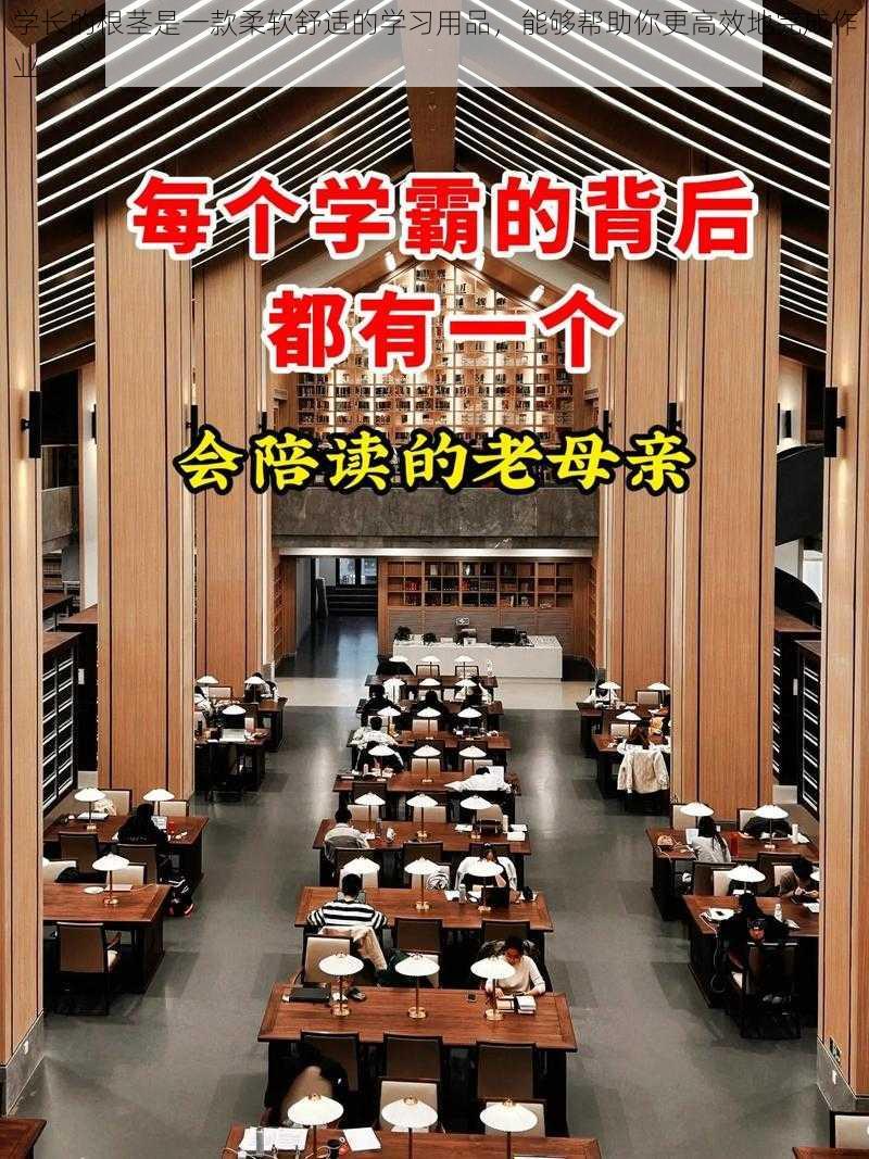 学长的根茎是一款柔软舒适的学习用品，能够帮助你更高效地完成作业