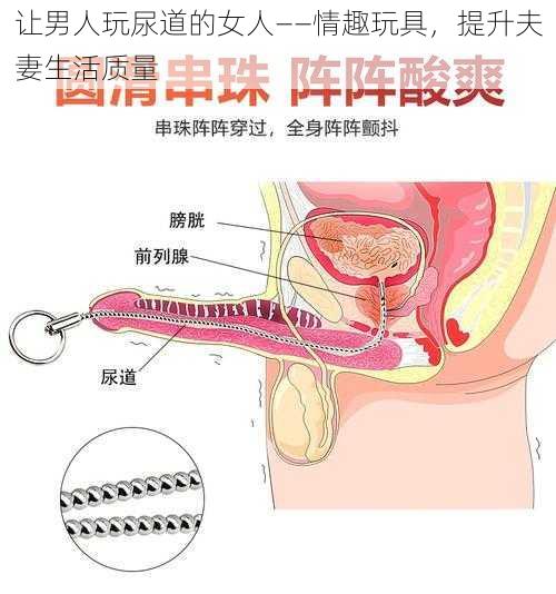 让男人玩尿道的女人——情趣玩具，提升夫妻生活质量