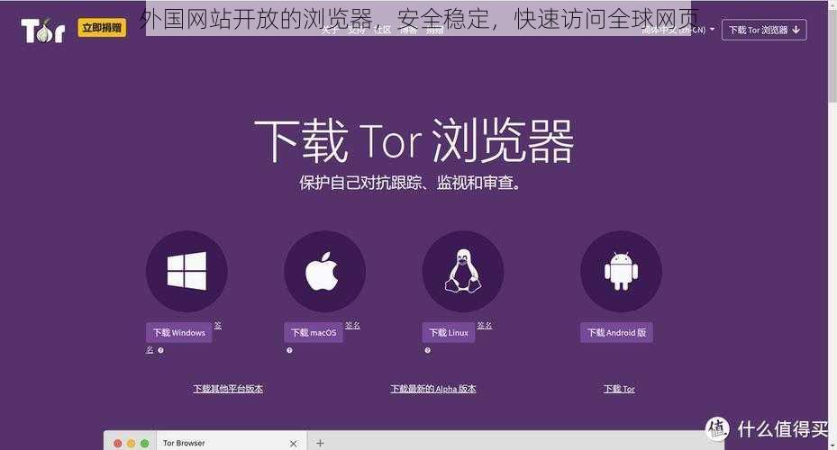 外国网站开放的浏览器，安全稳定，快速访问全球网页