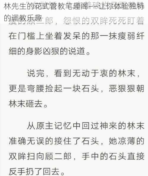 林先生的花式管教笔趣阁——让你体验独特的调教乐趣