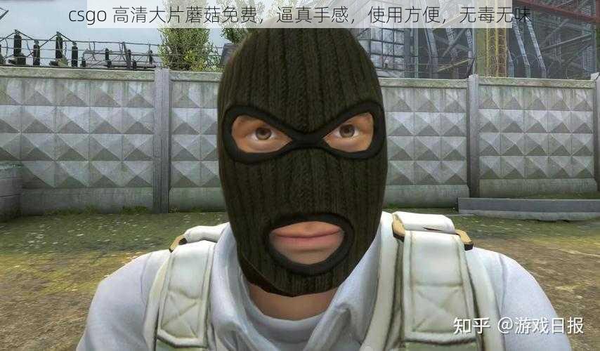 csgo 高清大片蘑菇免费，逼真手感，使用方便，无毒无味