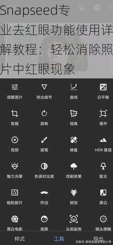 Snapseed专业去红眼功能使用详解教程：轻松消除照片中红眼现象