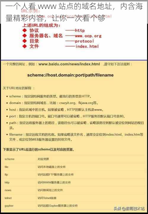 一个人看 www 站点的域名地址，内含海量精彩内容，让你一次看个够