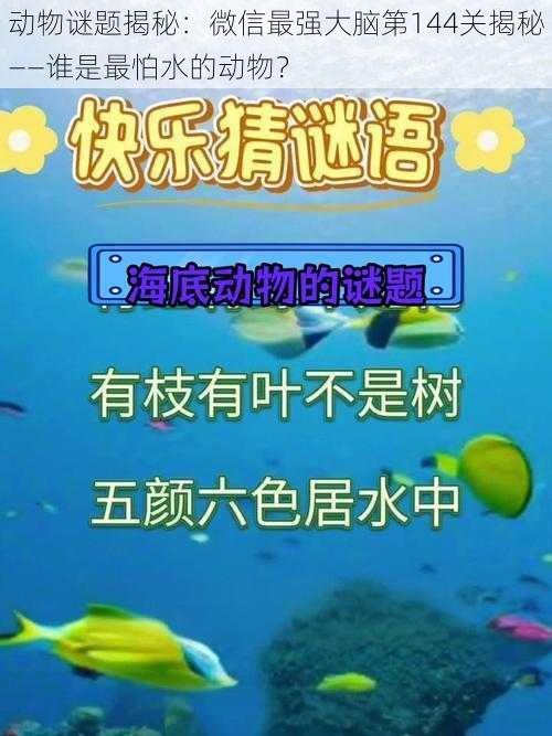 动物谜题揭秘：微信最强大脑第144关揭秘——谁是最怕水的动物？