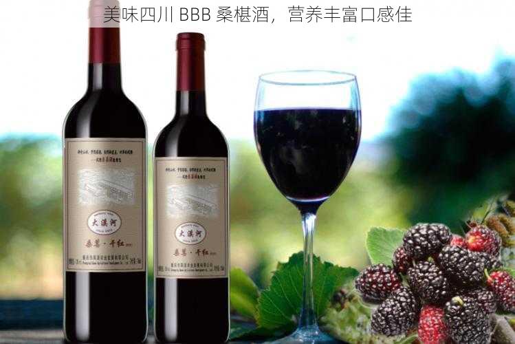 美味四川 BBB 桑椹酒，营养丰富口感佳