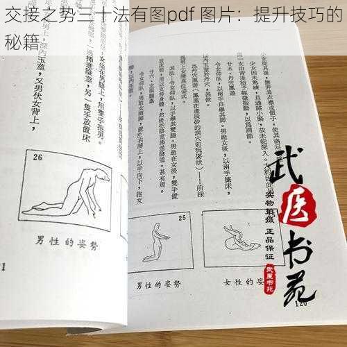 交接之势三十法有图pdf 图片：提升技巧的秘籍