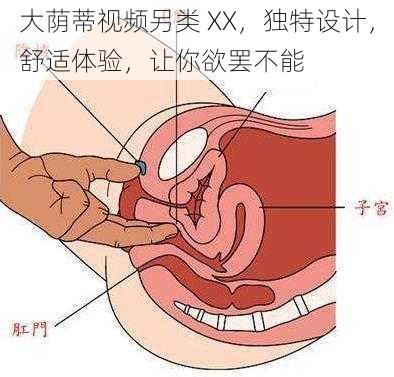 大荫蒂视频另类 XX，独特设计，舒适体验，让你欲罢不能