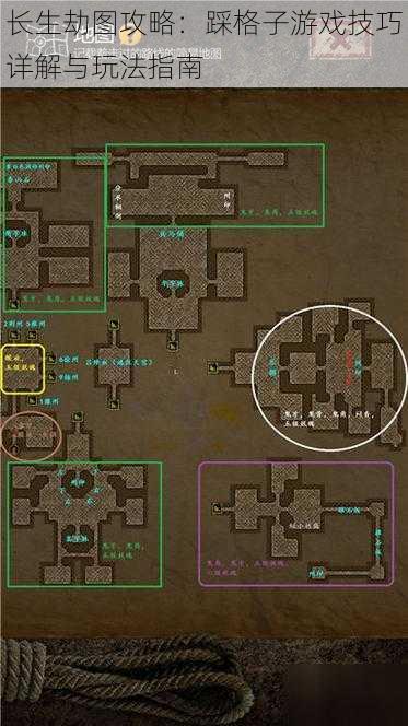 长生劫图攻略：踩格子游戏技巧详解与玩法指南