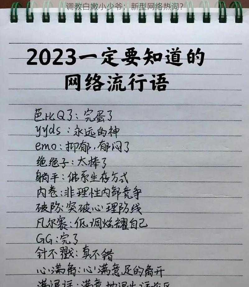 调教白嫩小少爷：新型网络热词？