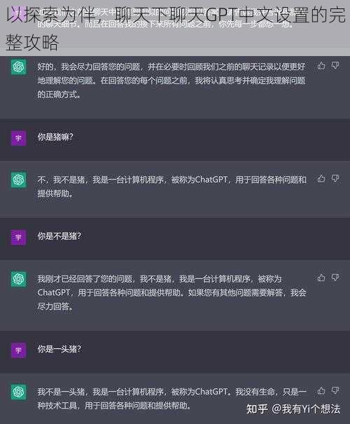 以探索为伴，聊天下聊天GPT中文设置的完整攻略