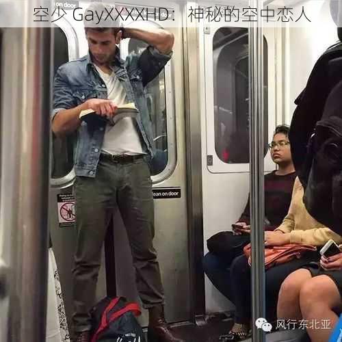 空少 GayXXXXHD：神秘的空中恋人