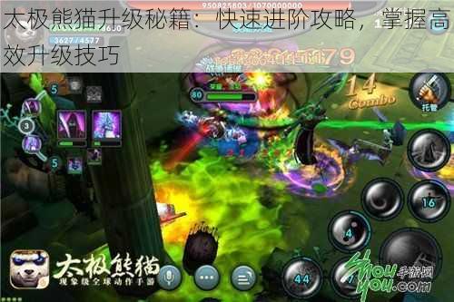 太极熊猫升级秘籍：快速进阶攻略，掌握高效升级技巧