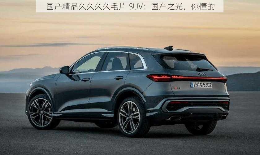 国产精品久久久久毛片 SUV：国产之光，你懂的