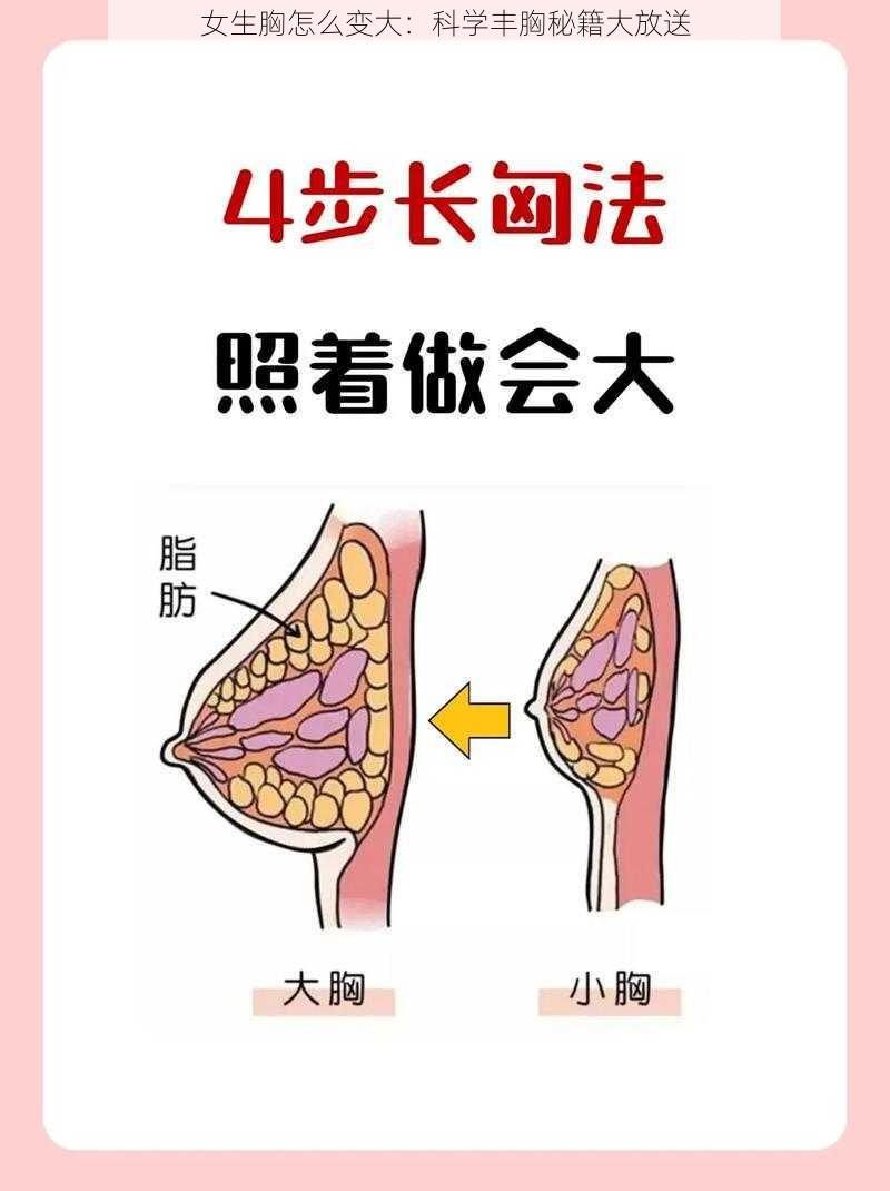 女生胸怎么变大：科学丰胸秘籍大放送