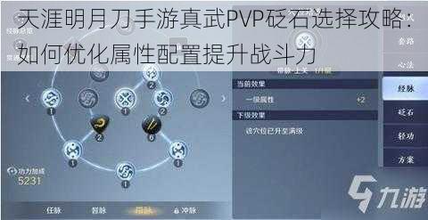 天涯明月刀手游真武PVP砭石选择攻略：如何优化属性配置提升战斗力