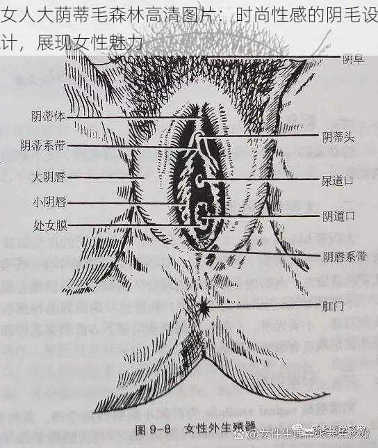 女人大荫蒂毛森林高清图片：时尚性感的阴毛设计，展现女性魅力