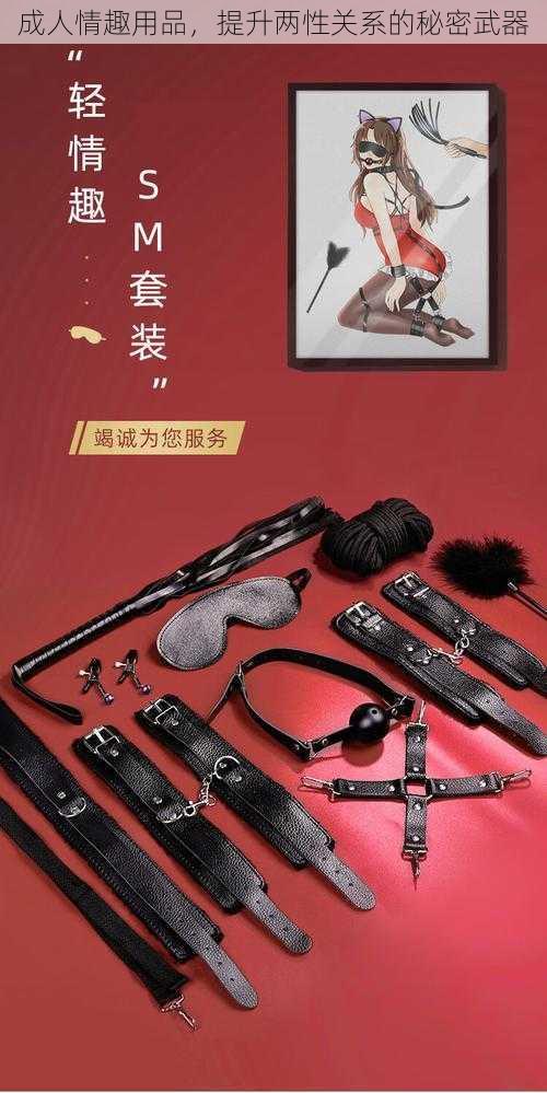 成人情趣用品，提升两性关系的秘密武器